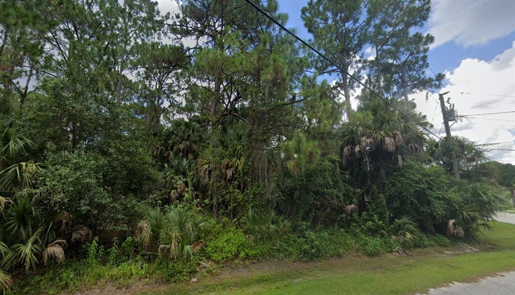 A densely wooded, undeveloped lot features tall pine trees and thick underbrush along a road — BADALI ROAD, NORTH PORT, FL