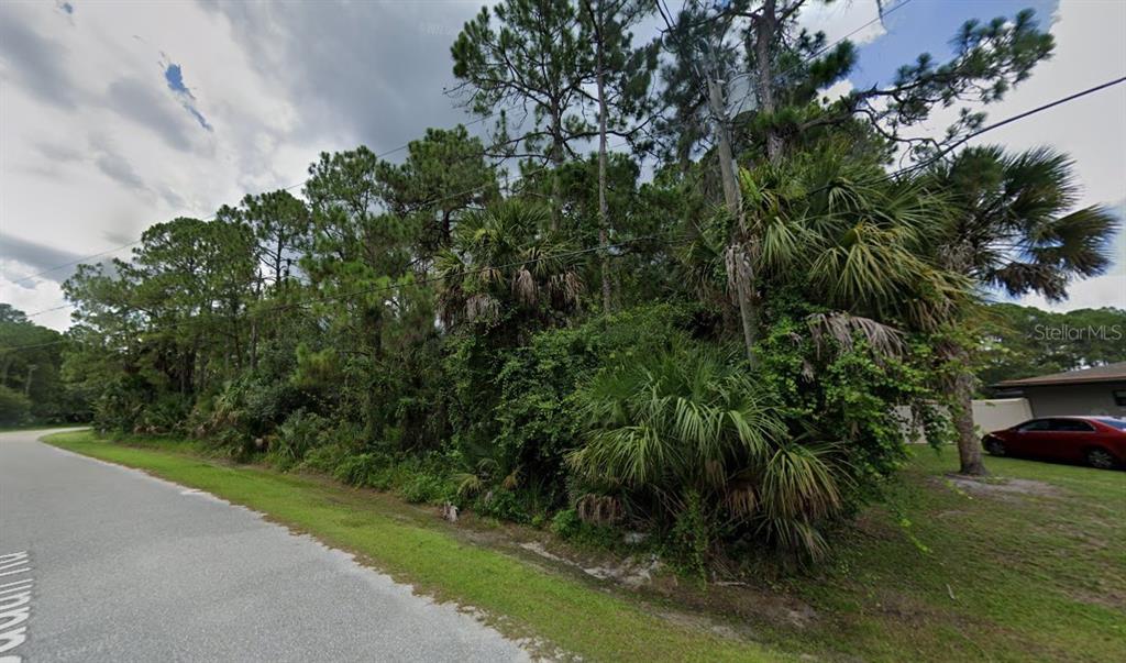 A wooded, undeveloped residential lot sits along a paved road next to a house — BADALI ROAD, NORTH PORT, FL