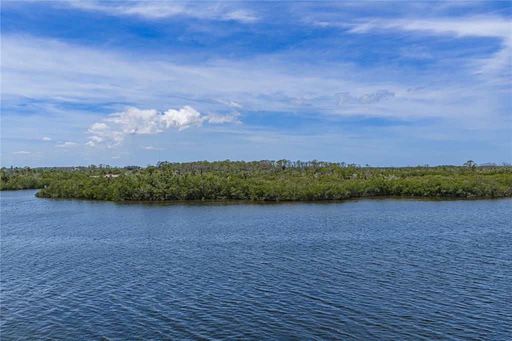 A wide view of a calm body of water bordered by a dense green mangrove forest — 8150 BRENT STREET UNIT 725, PORT RICHEY, FL