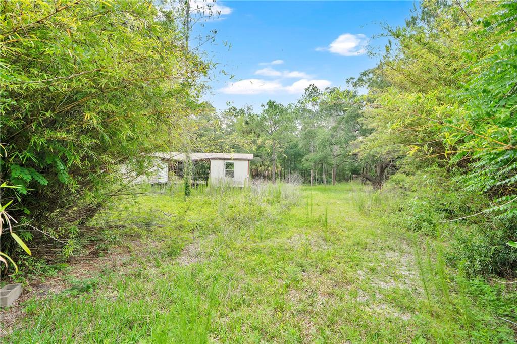 A weathered mobile home sits in a grassy, overgrown lot surrounded by trees and bamboo — 7831 NE 132ND PLACE, CITRA, FL