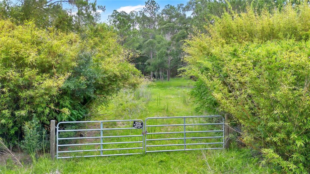A metal gate blocks the entrance to a grassy path leading into a wooded area — 7831 NE 132ND PLACE, CITRA, FL