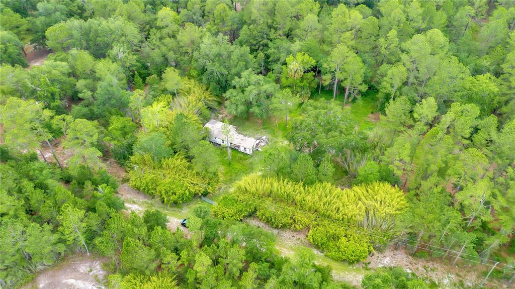 An aerial view shows a small house nestled in a dense, wooded forest — 7831 NE 132ND PLACE, CITRA, FL