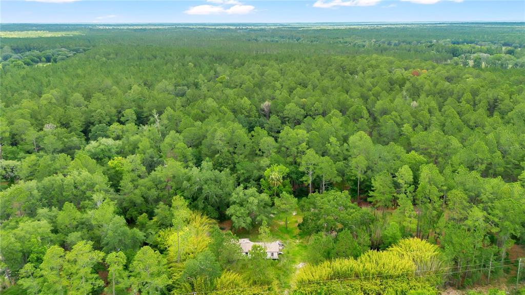 An aerial view shows a small house surrounded by a dense forest of pine trees — 7831 NE 132ND PLACE, CITRA, FL