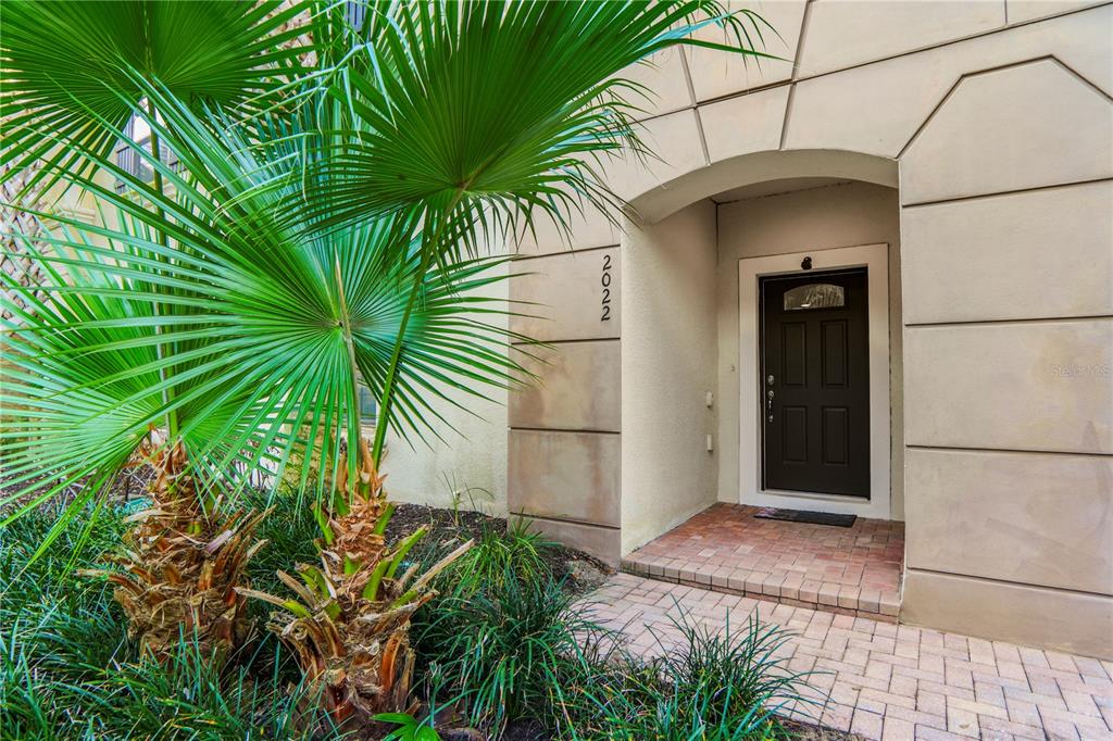 A palm tree stands before the entrance of a building with a dark brown door — 2022 MAJORCA DRIVE, KISSIMMEE, FL