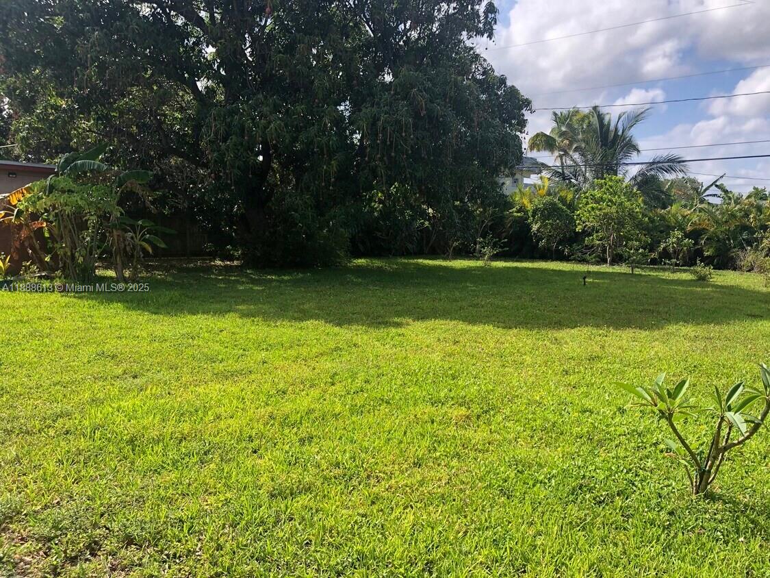A large, grassy backyard features a prominent tree and various tropical plants — 2815 Jackson St, Hollywood FL 33020, HOLLYWOOD, FL