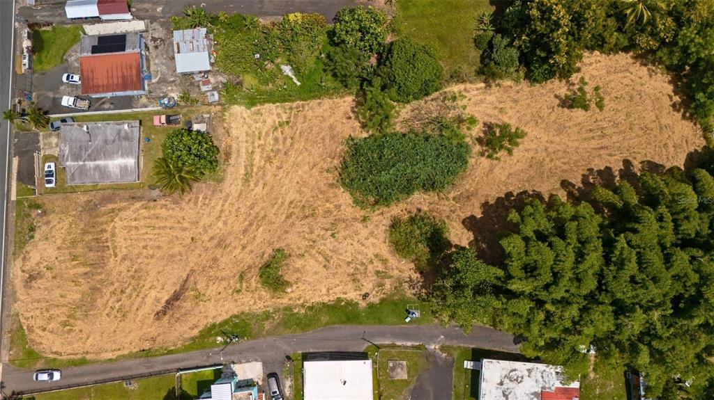 An aerial view shows a cleared, rectangular vacant lot bordered by trees and nearby houses — BO CEIBA NORTE 28 COM SANTANA, JUNCOS, PR