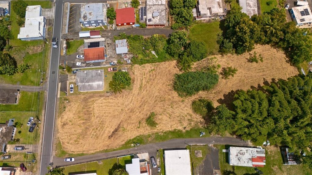 An aerial view shows a large, cleared vacant lot surrounded by residential buildings and trees — BO CEIBA NORTE 28 COM SANTANA, JUNCOS, PR