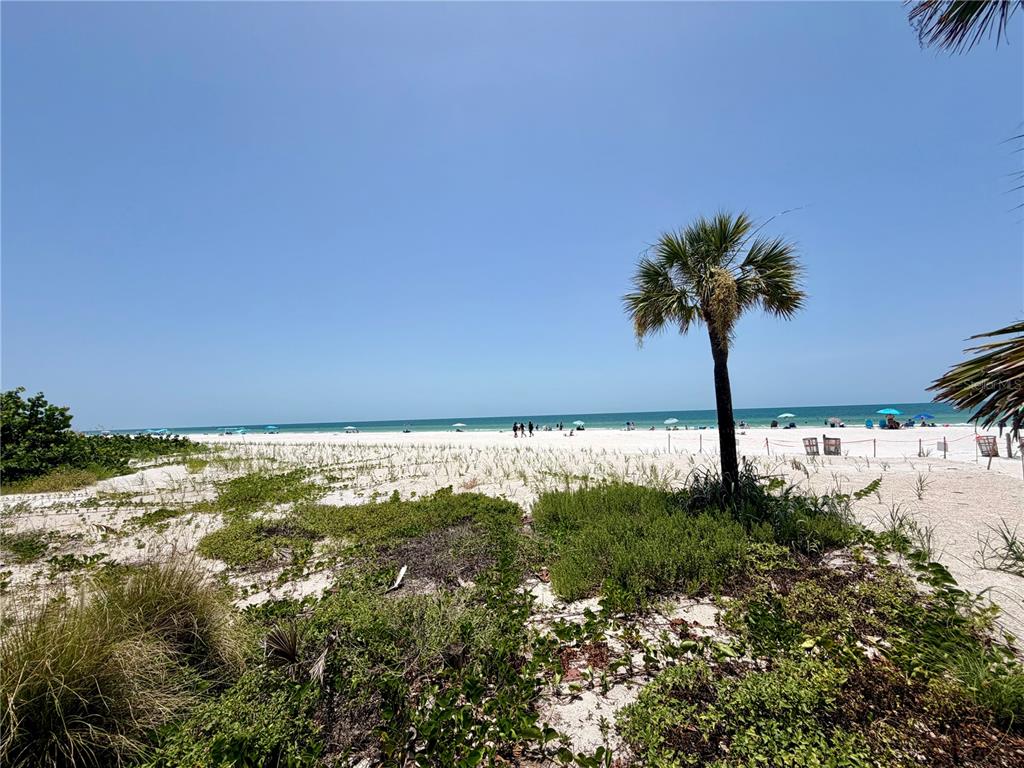 A sandy beach with green vegetation, a palm tree, and people under umbrellas — 350 GULF BOULEVARD UNIT 1, INDIAN ROCKS BEACH, FL