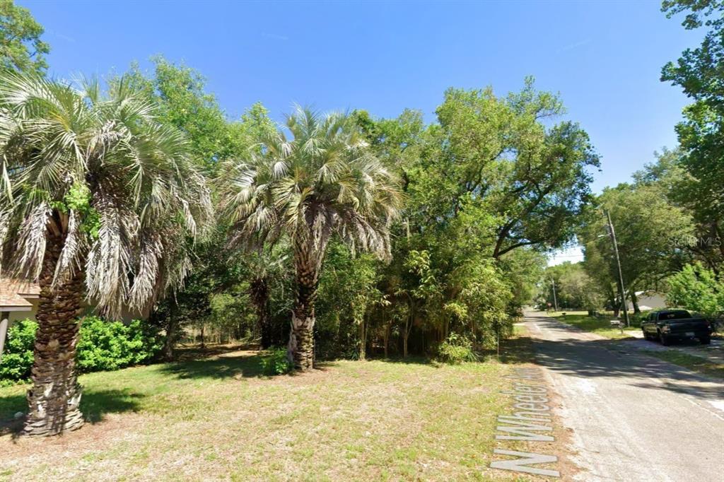 A dirt road runs alongside a grassy lot with palm trees and dense foliage — 360 N WHEELER AVENUE, INVERNESS, FL