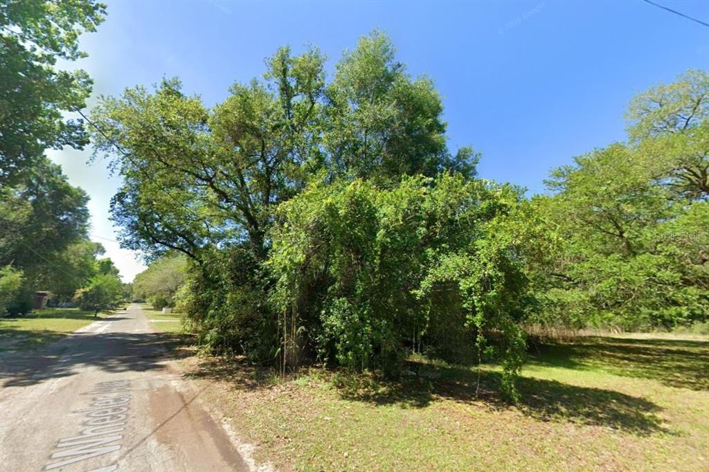A dirt road leads past a dense cluster of trees and overgrown vegetation on a lot — 360 N WHEELER AVENUE, INVERNESS, FL