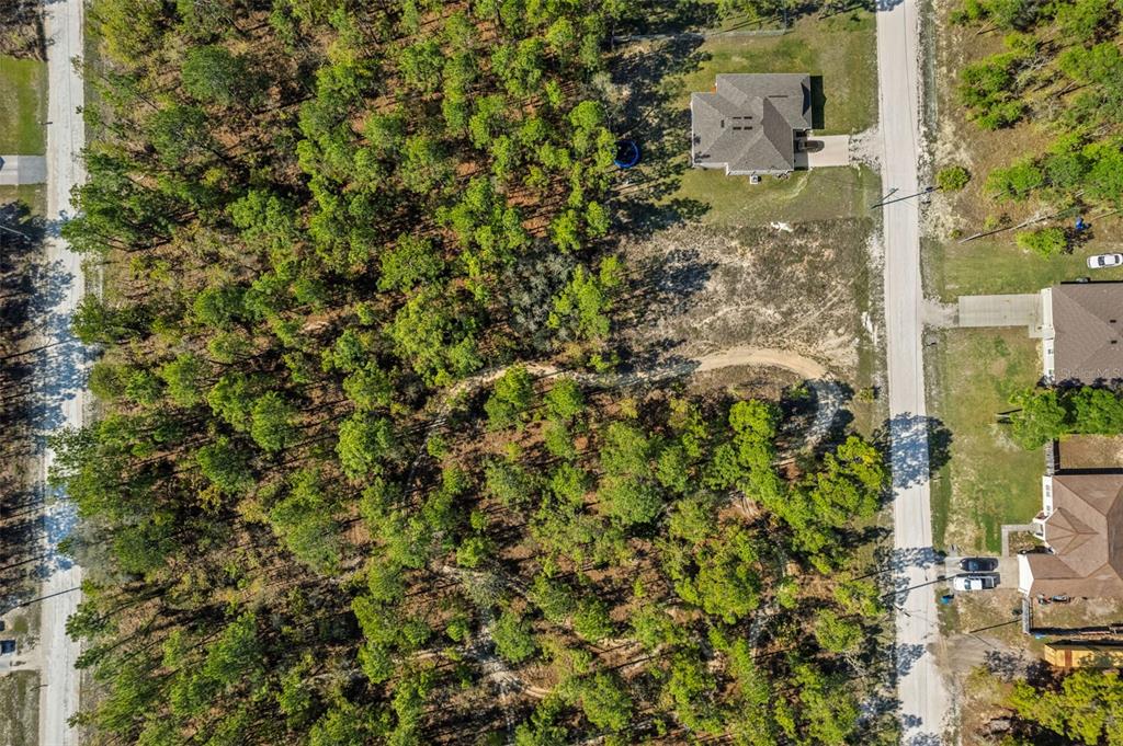 An aerial view shows a house situated on a wooded lot next to a road — 12348 SNOWY EGRET AVENUE, WEEKI WACHEE, FL