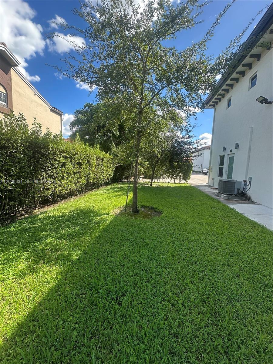 A grassy backyard features a central tree, a tall hedge, and a white house exterior — 6410 SW 139th Avenue Rd # 203, Miami FL 33183, MIAMI, FL