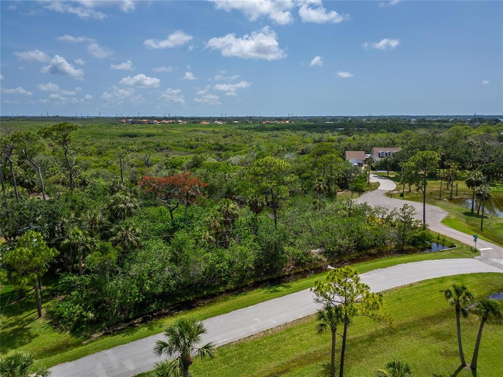 STRATHMORE AVENUE, OLDSMAR, FL — photo 4 of 27
