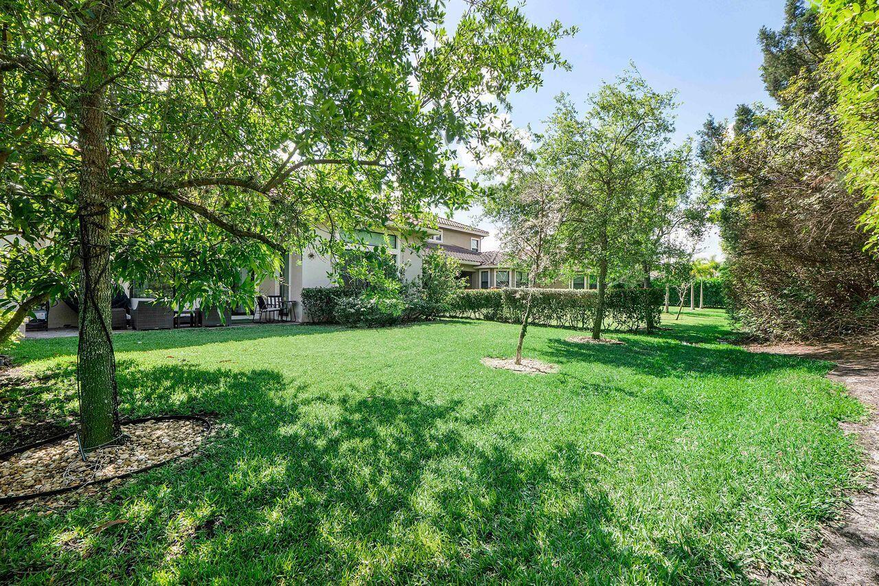 A grassy backyard features a patio, mature trees, and a hedge bordering the property — 8251 Canopy Terrace, Parkland FL 33076, PARKLAND, FL