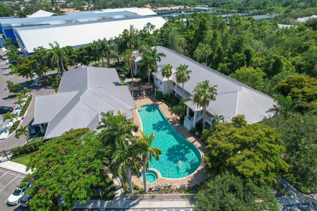 An aerial view shows a swimming pool nestled between two buildings surrounded by lush trees — 3702 54TH DRIVE W UNIT 204, BRADENTON, FL