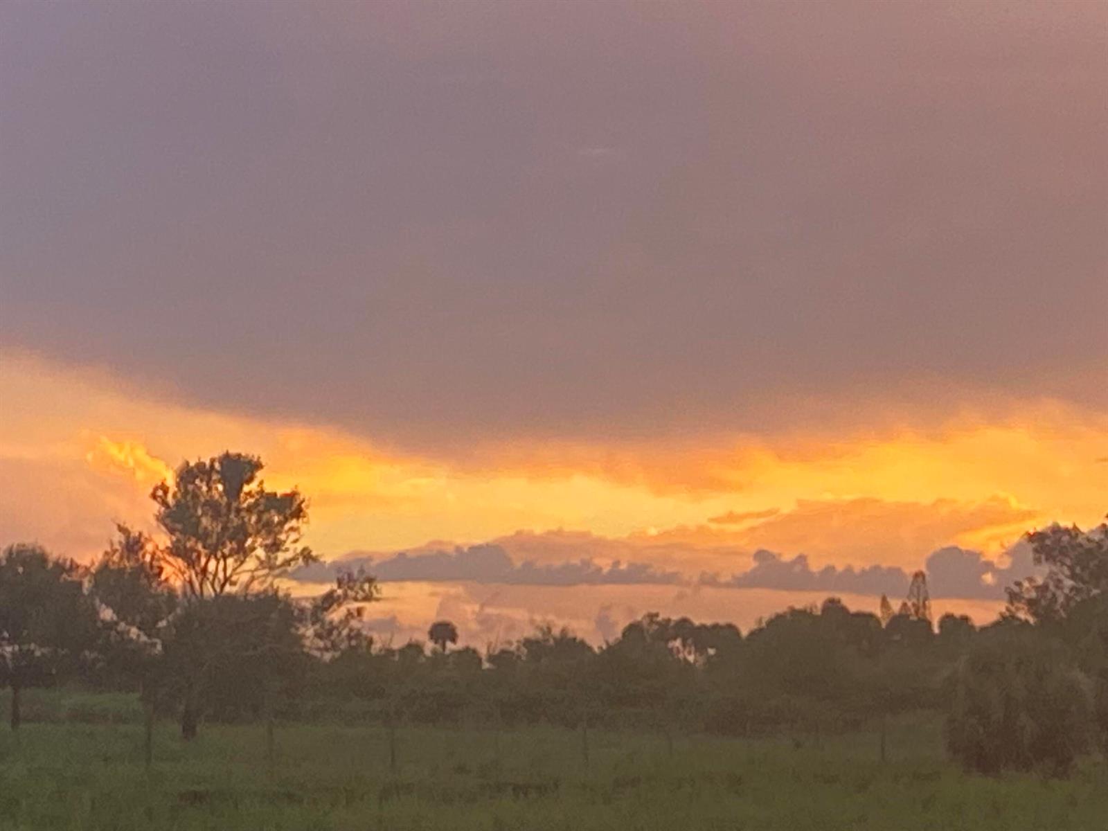 A vibrant sunset glows behind a dark silhouette of trees and a grassy field — 1425 S Header Canal Road, Fort Pierce FL 34945, FORT PIERCE, FL