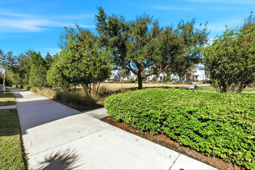 A concrete sidewalk runs alongside a large green hedge and trees in a residential area — 6955 HIGGS ALLEY, ORLANDO, FL
