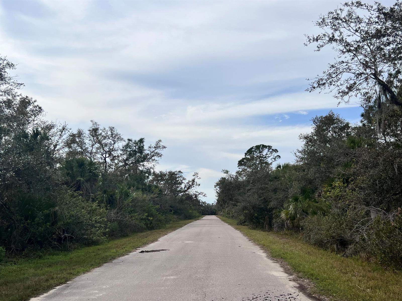 A paved road stretches into the distance, flanked by dense trees and lush green vegetation — 14248 Cameron Avenue, FL 33953, FL