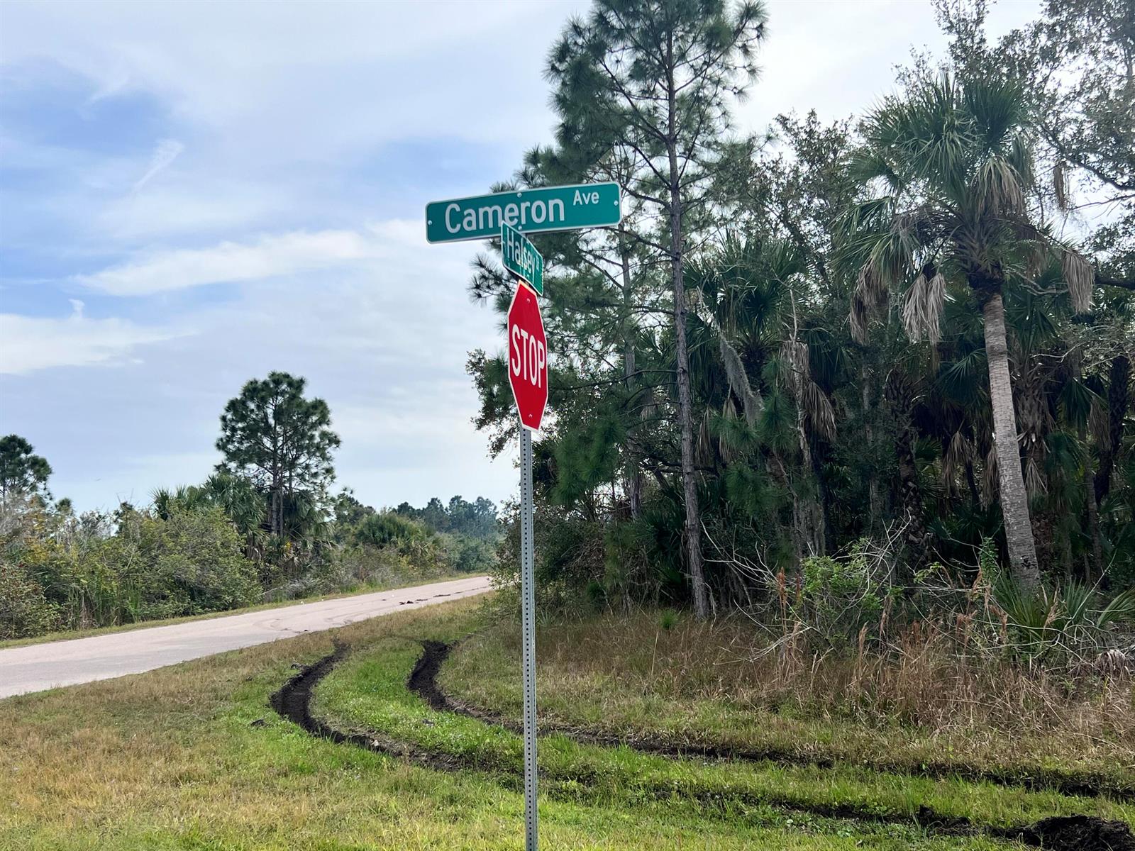 A street sign for Cameron Ave and Halsey St stands beside a road with tire tracks — 14248 Cameron Avenue, FL 33953, FL