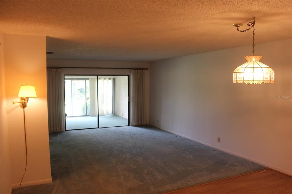 A living room features blue carpeting, a sliding glass door, and a hanging pendant light — 649 BROADMOOR CIRCLE, WINTER HAVEN, FL