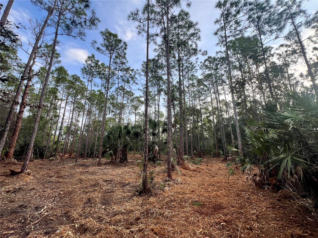 PANTERA LN, NAPLES, FL — photo 2 of 30