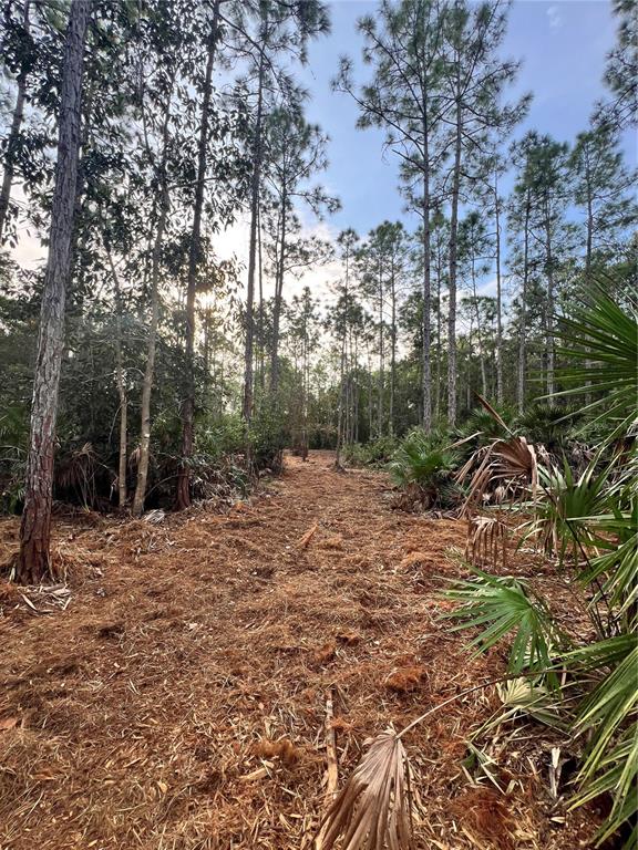PANTERA LN, NAPLES, FL — photo 3 of 30