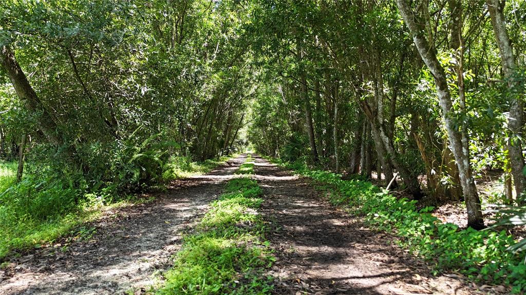 PANTERA LN, NAPLES, FL — photo 4 of 30