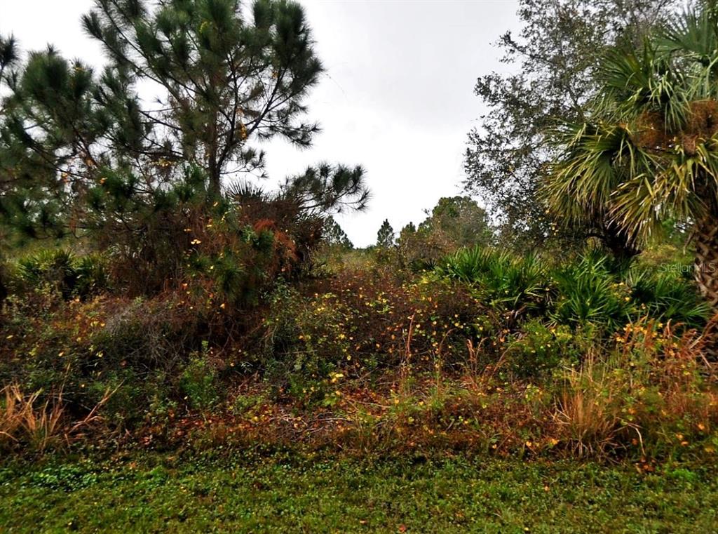 A view of a densely wooded, undeveloped lot with native Florida vegetation and trees — LENAPE LANE, NORTH PORT, FL