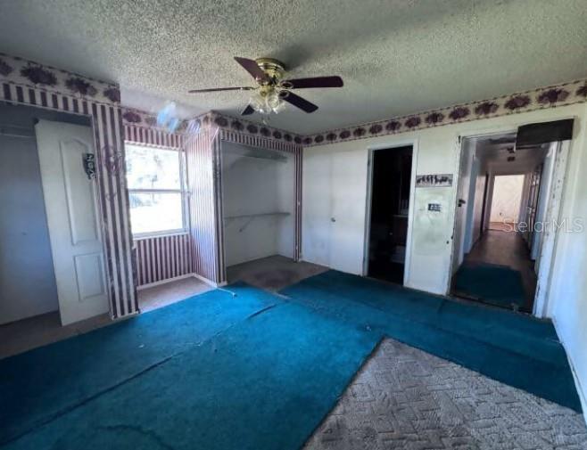 A bedroom features teal carpeting, striped wallpaper, a ceiling fan, and two open doorways — 321 ARIANA AVENUE, AUBURNDALE, FL