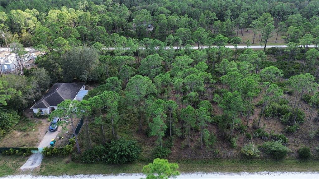 An aerial view shows a single-story house with a driveway next to a wooded lot — 28065 CRESTWOOD DRIVE, PUNTA GORDA, FL