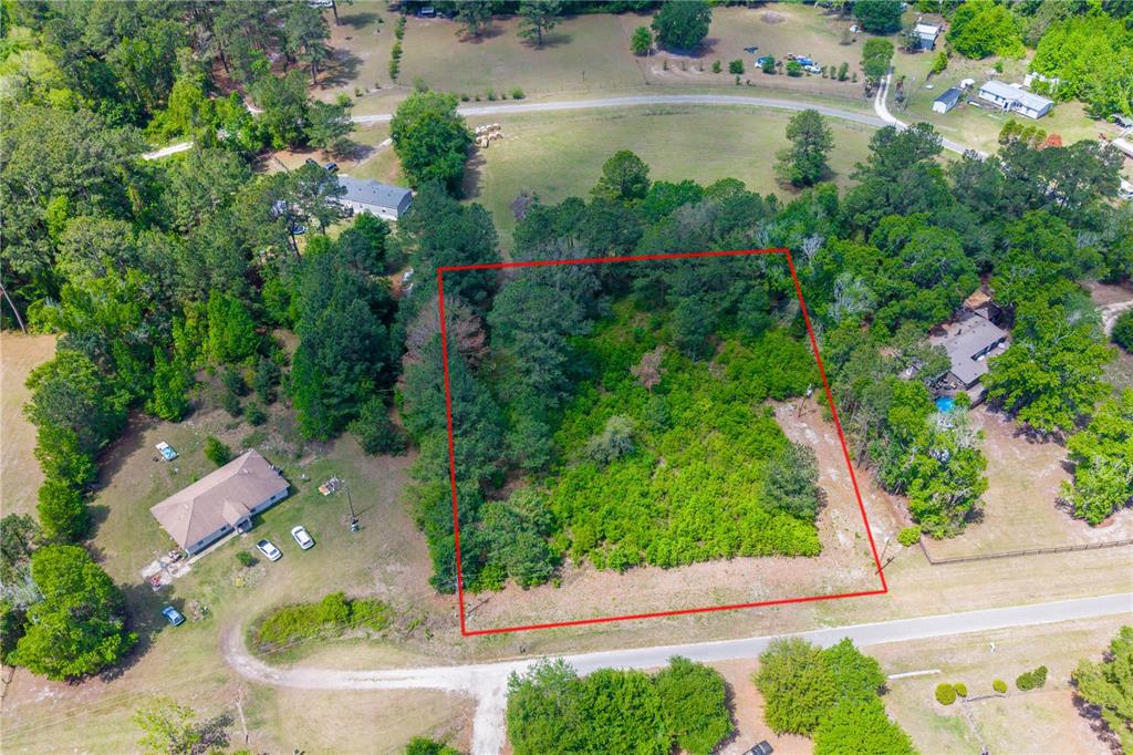 A cleared, level plot of land features scattered wood debris and a line of trees — 5781 SW 91ST PLACE, LAKE BUTLER, FL