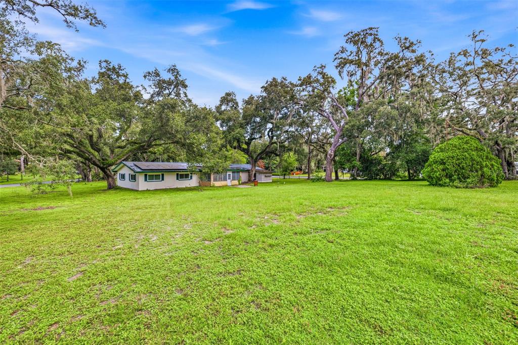 A single-story house sits on a large, grassy lot surrounded by many mature oak trees — 34746 GARDENIA WAY, DADE CITY, FL