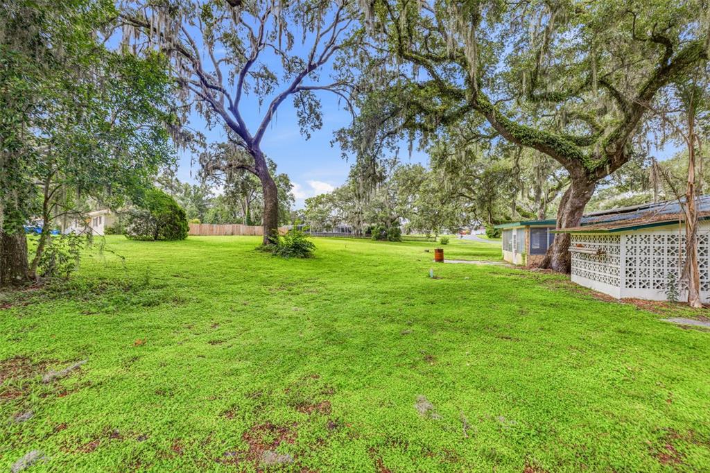 A grassy backyard features large oak trees with Spanish moss and a small white structure — 34746 GARDENIA WAY, DADE CITY, FL