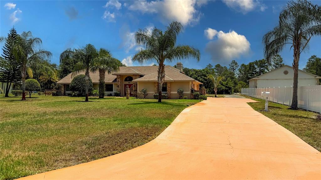 A single-story house with a long driveway, palm trees, and a white fence — 8732 SKYMASTER DRIVE, NEW PORT RICHEY, FL