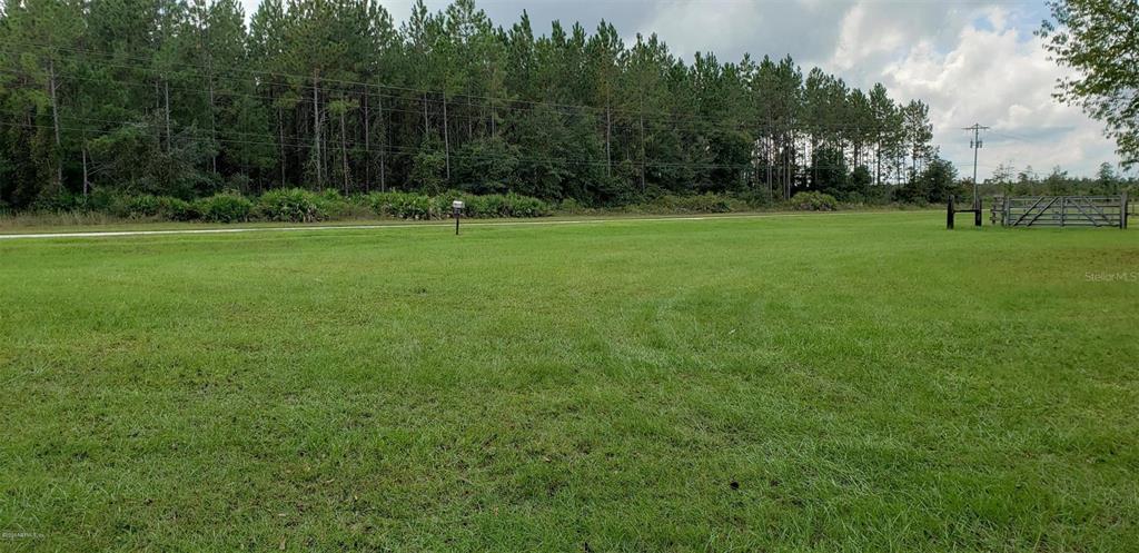 A wide, grassy field sits in front of a dense line of pine trees — 20241 MAXVILLE MACCLENNY HIGHWAY, JACKSONVILLE, FL