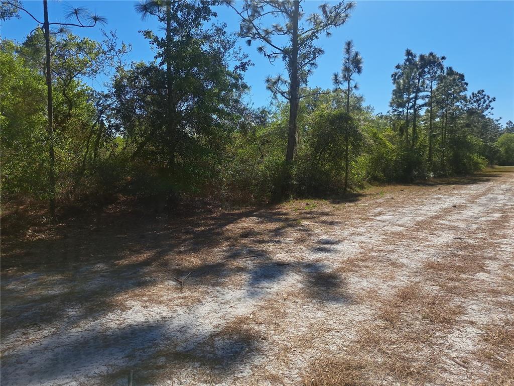 A sandy, unpaved path leads toward a dense line of trees under a clear sky — 604 CAMELLIA DRIVE, INDIAN LAKE ESTATES, FL