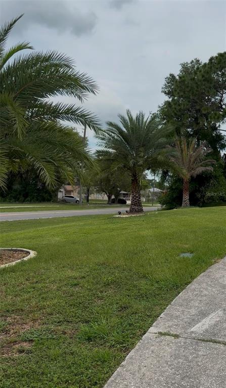 A grassy front yard features several palm trees along a road with houses in the distance — 4470 GONDOLIER ROAD, SPRING HILL, FL