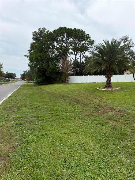 A grassy lot with palm trees and a white fence borders a paved road — 4470 GONDOLIER ROAD, SPRING HILL, FL