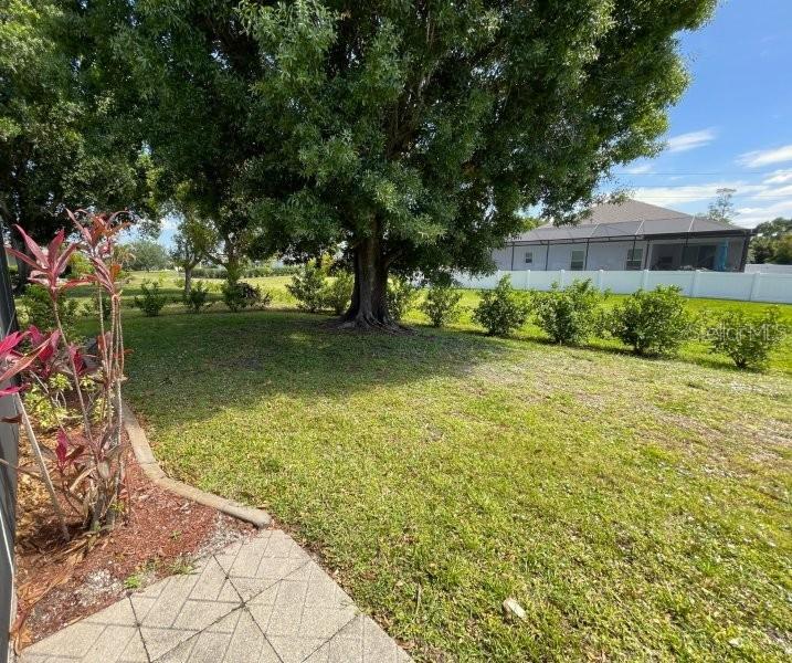 A grassy backyard features a large tree, a white fence, and a paved patio area — 1472 NEAPOLITAN ROAD, PUNTA GORDA, FL