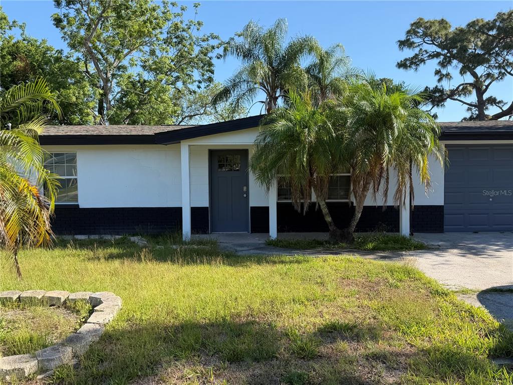 A single-story house with white and black exterior walls, a grey door, and palm trees — 6845 CAROB DRIVE, NEW PORT RICHEY, FL
