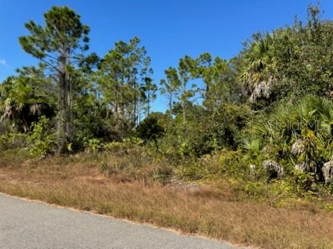 A vacant, wooded lot sits adjacent to a paved road under a clear blue sky — LOT 2 MATTOX CIRCLE, NORTH PORT, FL