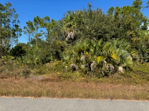 A view of a vacant, wooded lot with dense vegetation and palm trees from the street — LOT 2 MATTOX CIRCLE, NORTH PORT, FL