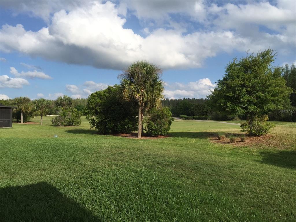 A grassy backyard with several palm trees and shrubs under a partly cloudy blue sky — 10515 CORAL KEY AVENUE, TAMPA, FL