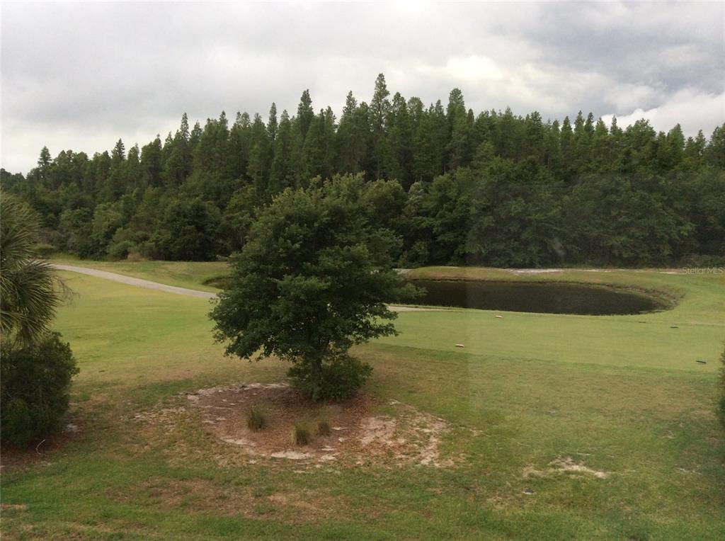 A view of a golf course fairway with a pond and a dense forest background — 10515 CORAL KEY AVENUE, TAMPA, FL