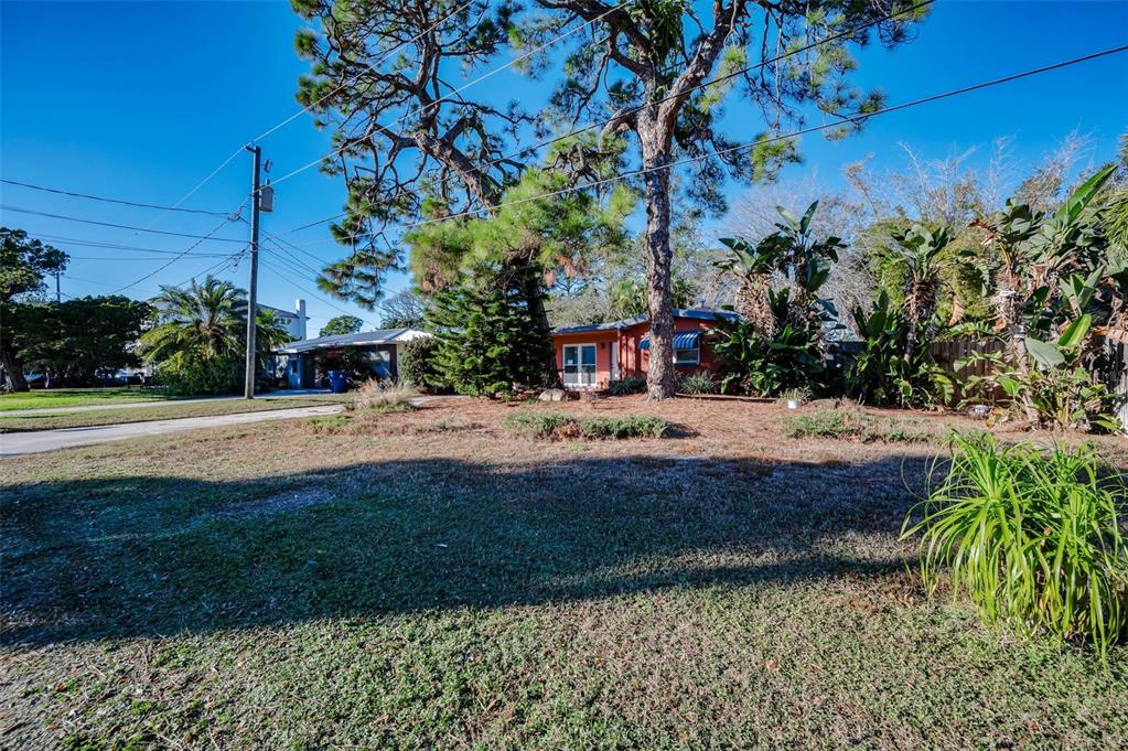 A single-story house with an orange exterior sits behind a large pine tree and lawn — 406 ORCHID LANE, PALM HARBOR, FL
