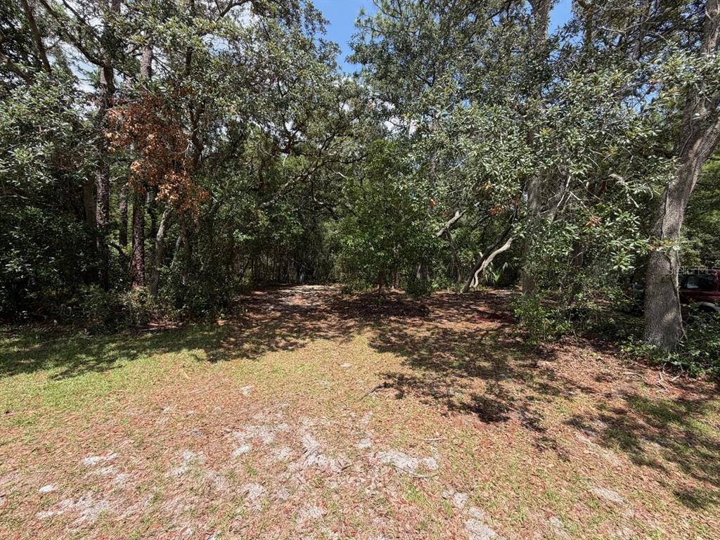 A grassy, partially shaded lot leads into a dense wooded area with mature trees — 981 SEVILLA AVENUE, LAKE HELEN, FL