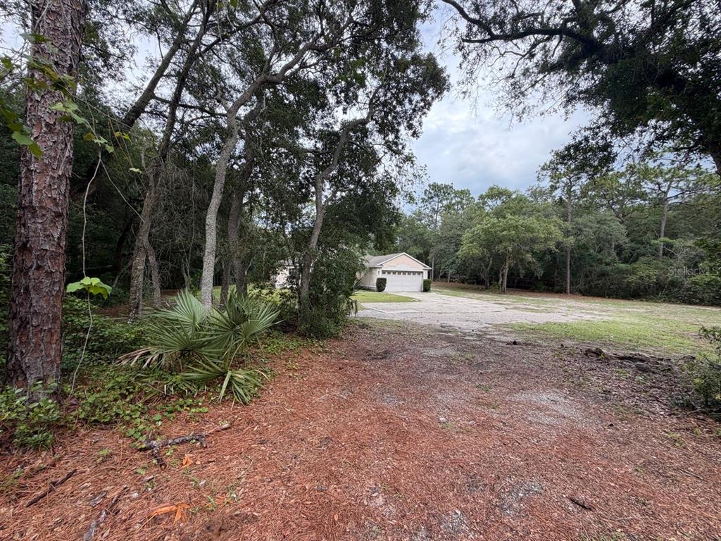 A view of a house exterior with a large gravel driveway surrounded by trees — 981 SEVILLA AVENUE, LAKE HELEN, FL