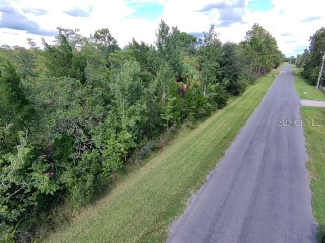An aerial view shows a paved road running alongside a dense, wooded area — SHELDON STREET, ORLANDO, FL