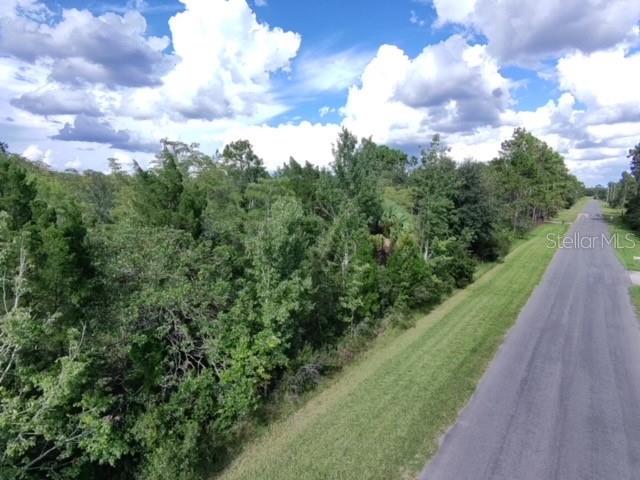 An aerial view shows a paved road running alongside a dense, wooded lot — SHELDON STREET, ORLANDO, FL