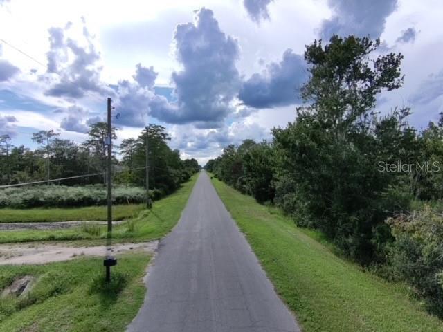 A paved road stretches into the distance between grassy shoulders and dense trees under clouds — SHELDON STREET, ORLANDO, FL